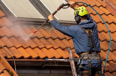 Démoussage et hydrofuge de toiture à Chambois